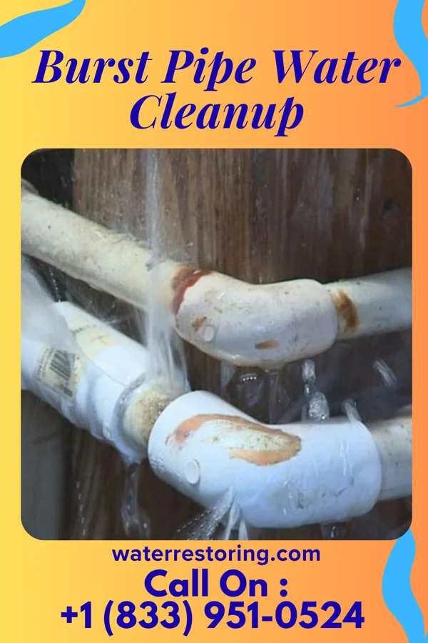 Burst Pipe Water Cleanup in Troutville, VA