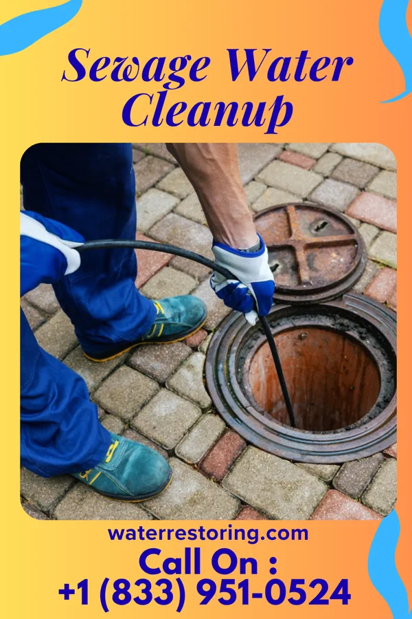 Sewage Water Cleanup in Troutville, VA